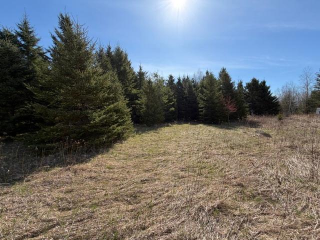 Tbd 66th Avenue Ne Property Photo 5