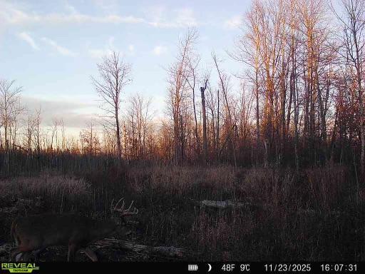 Xxx Fleming Logging Road Property Photo 1