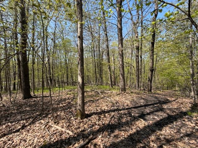 48990 County Highway 17 Property Photo 16