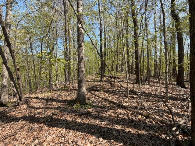 48990 County Highway 17 Property Photo 18