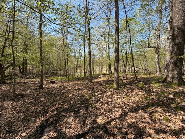 48990 County Highway 17 Property Photo 19
