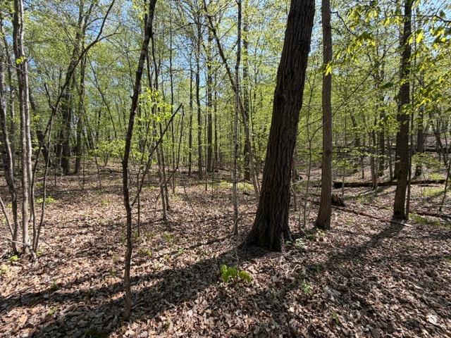 48990 County Highway 17 Property Photo 20