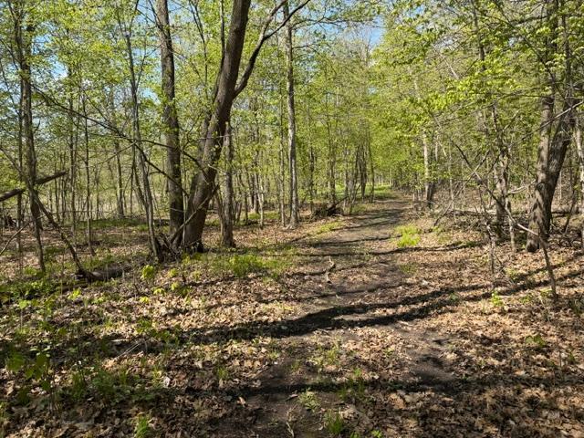 48990 County Highway 17 Property Photo 26