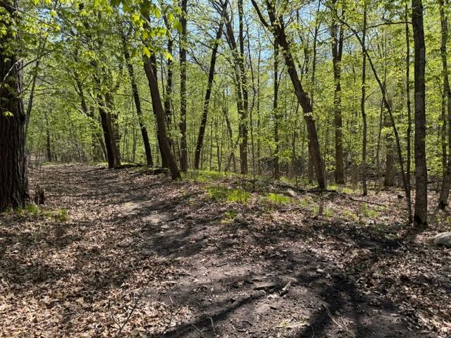 48990 County Highway 17 Property Photo 27