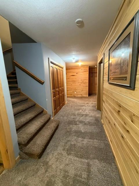 48990 County Highway 17 Property Photo 56