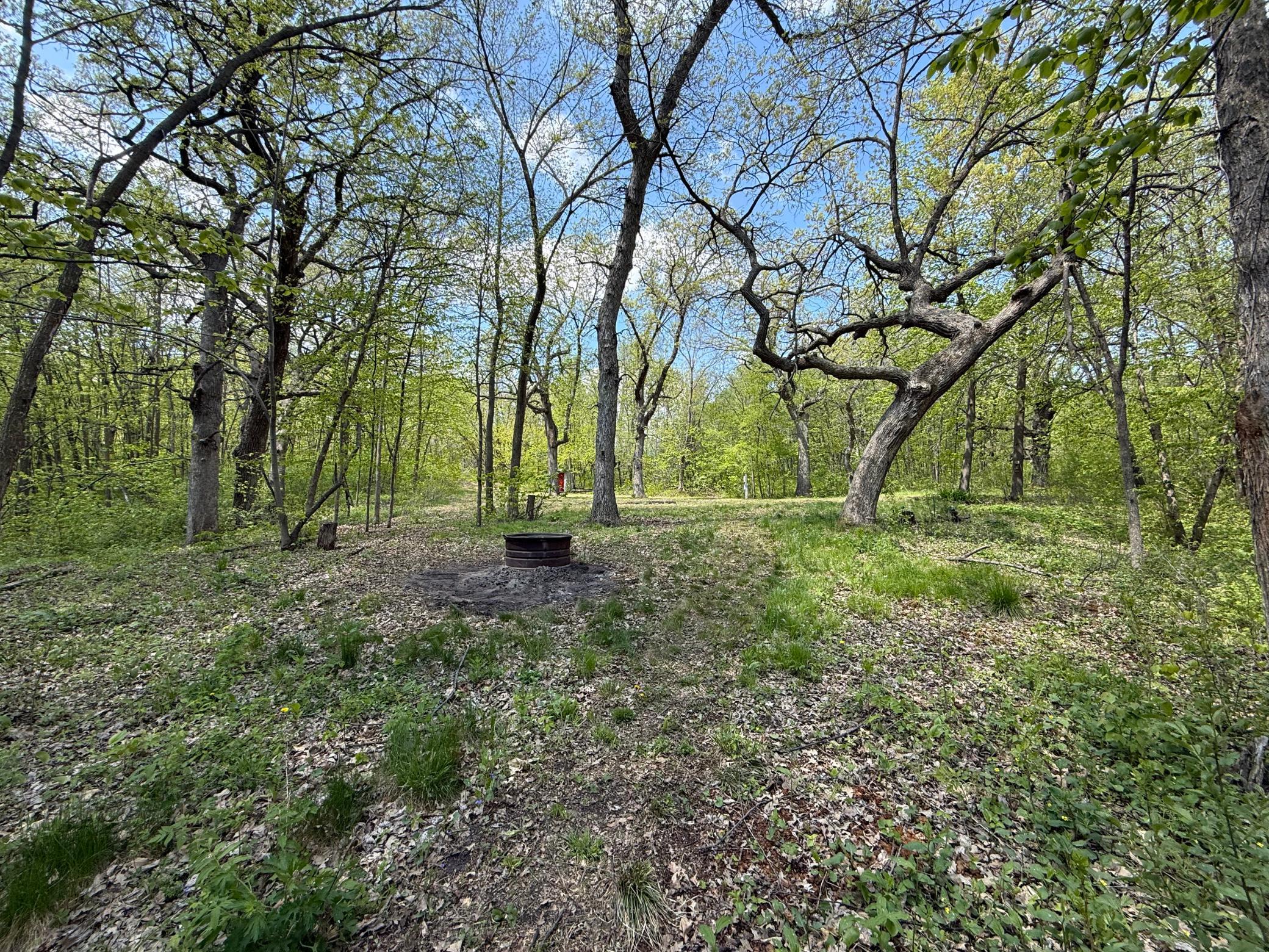 19318 308th Avenue Property Photo 9