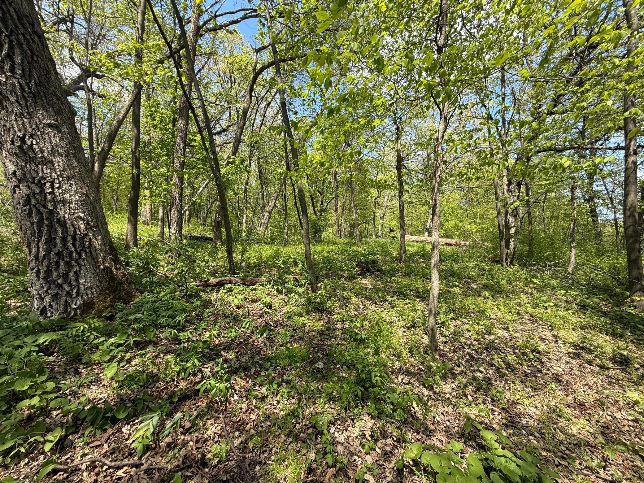 19318 308th Avenue Property Photo 11