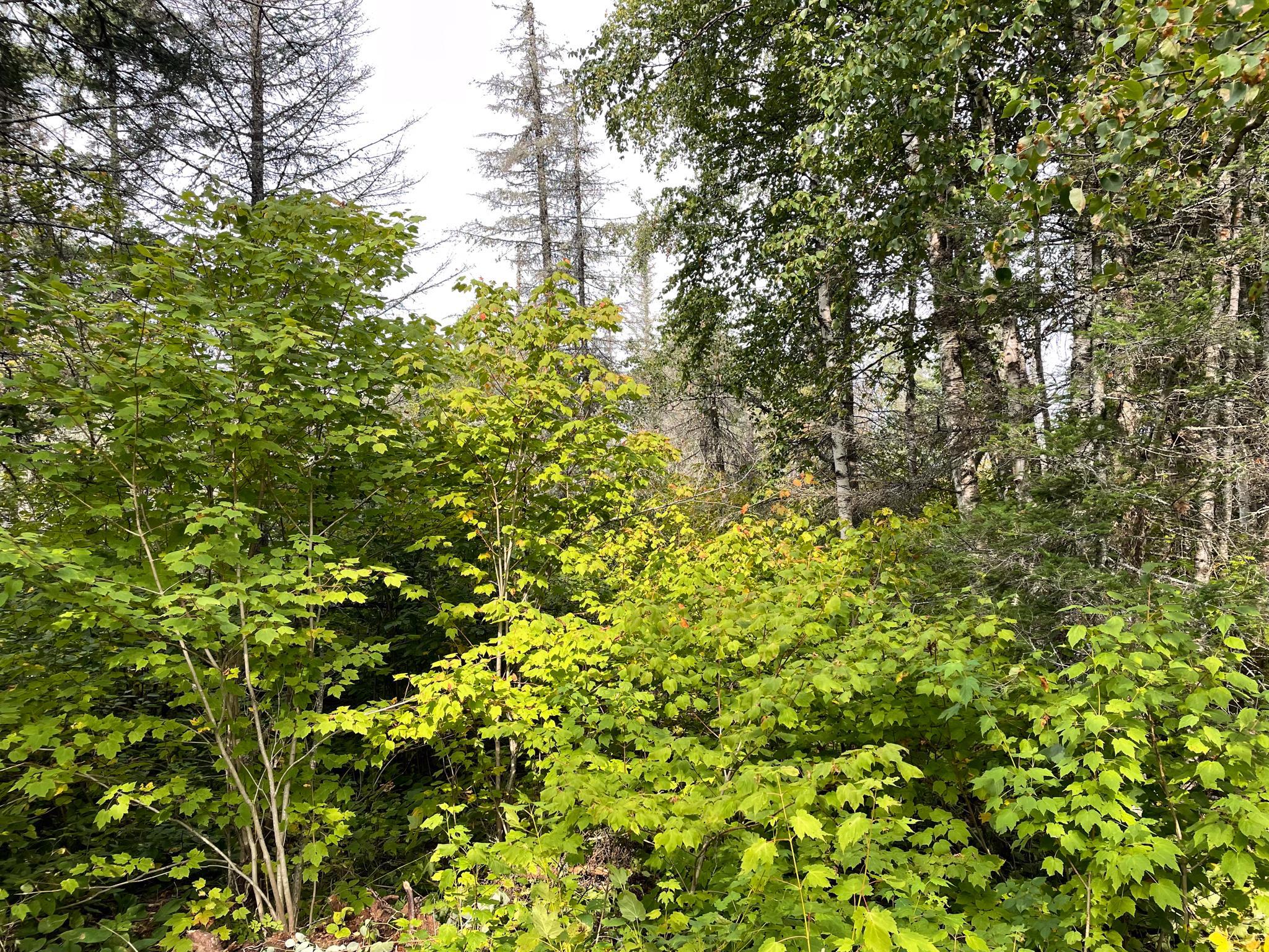 9519 Ccc Trail Property Photo 25