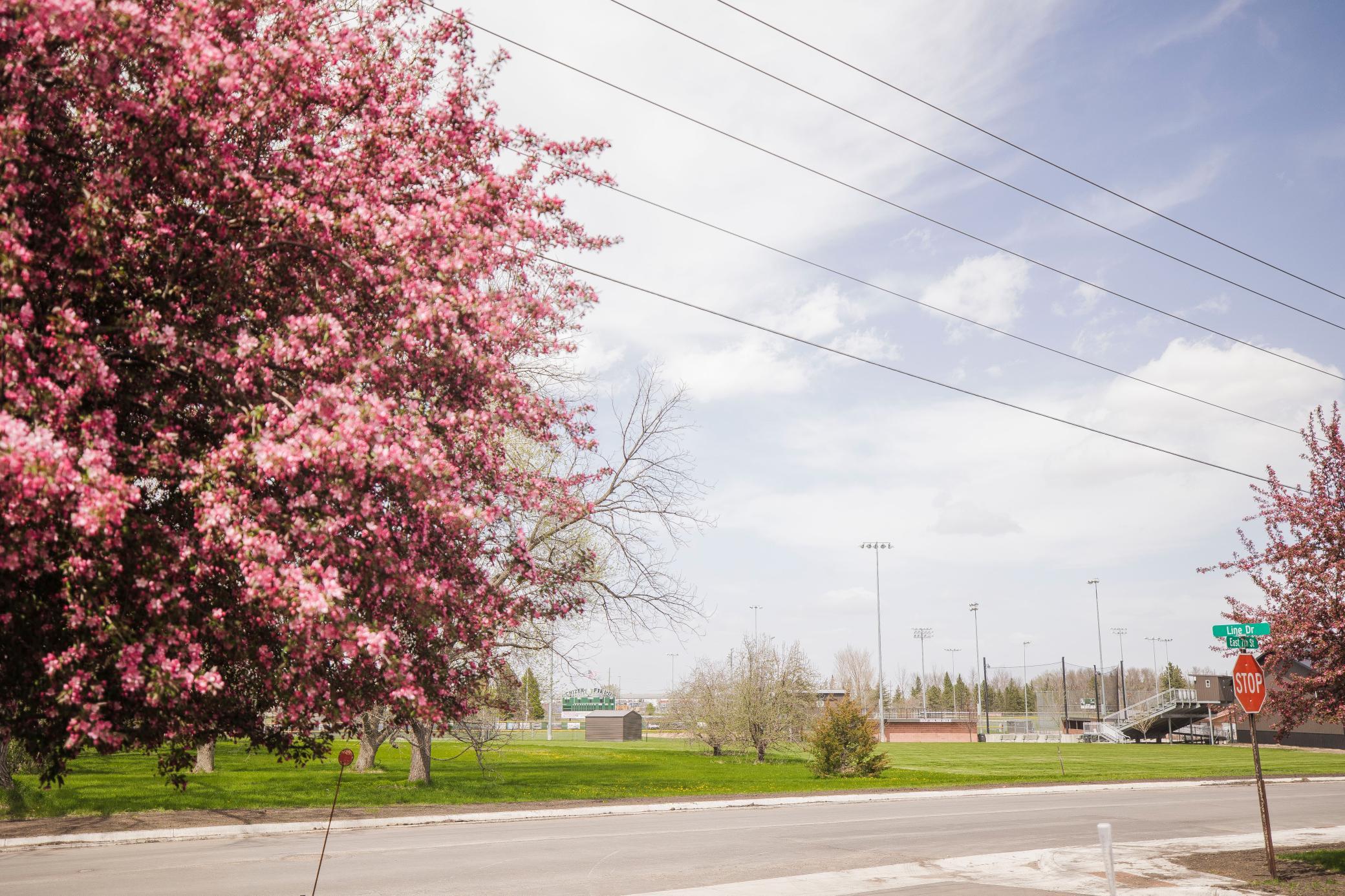2 Line Drive Property Photo 35