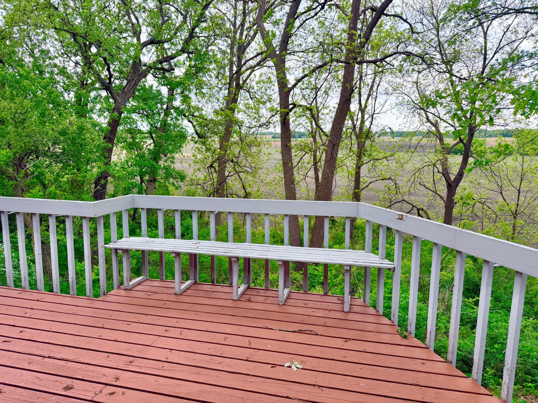 24106 Walnut Drive Property Photo 7