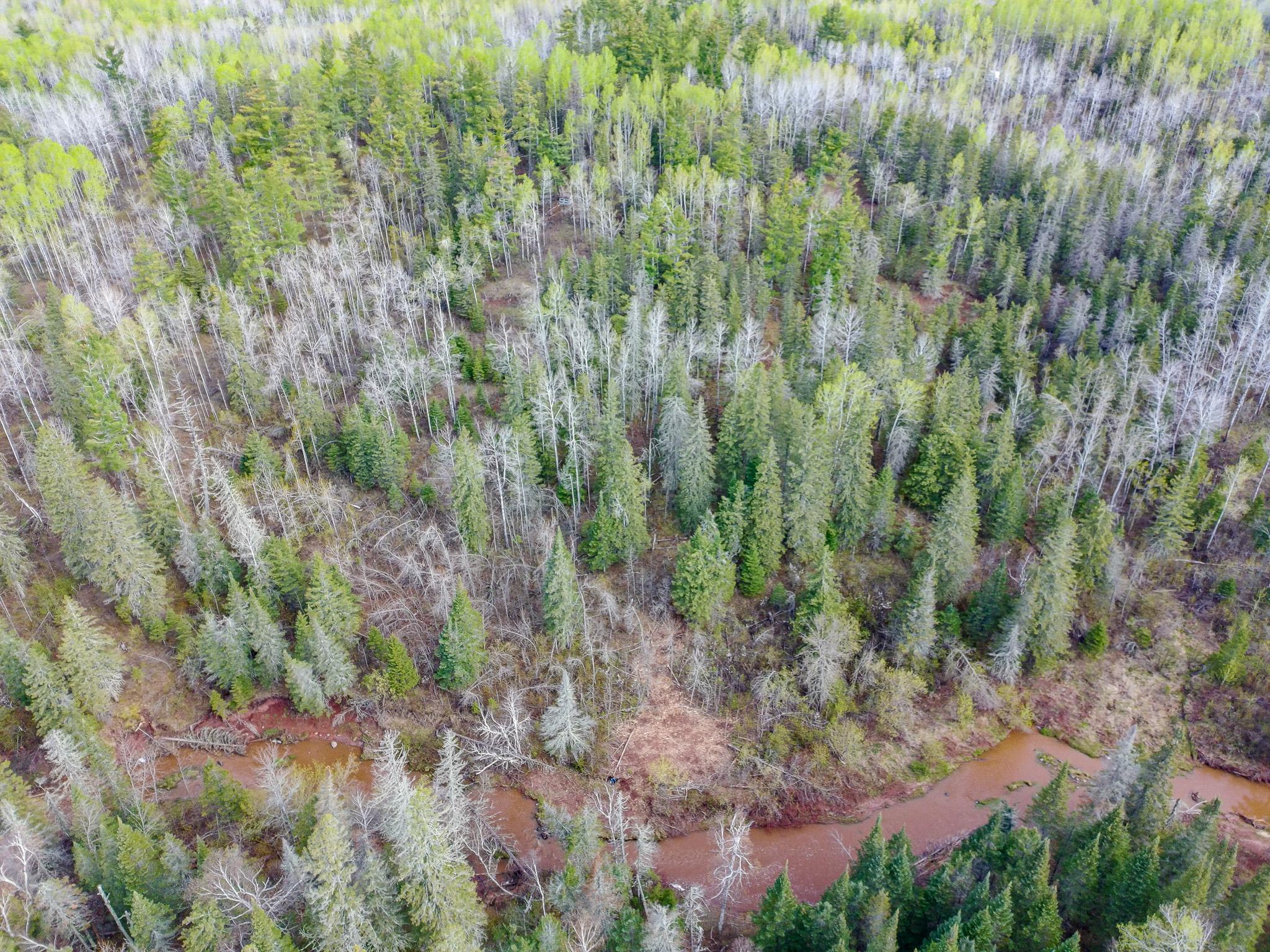 992 Nemadji River Road Property Photo 8