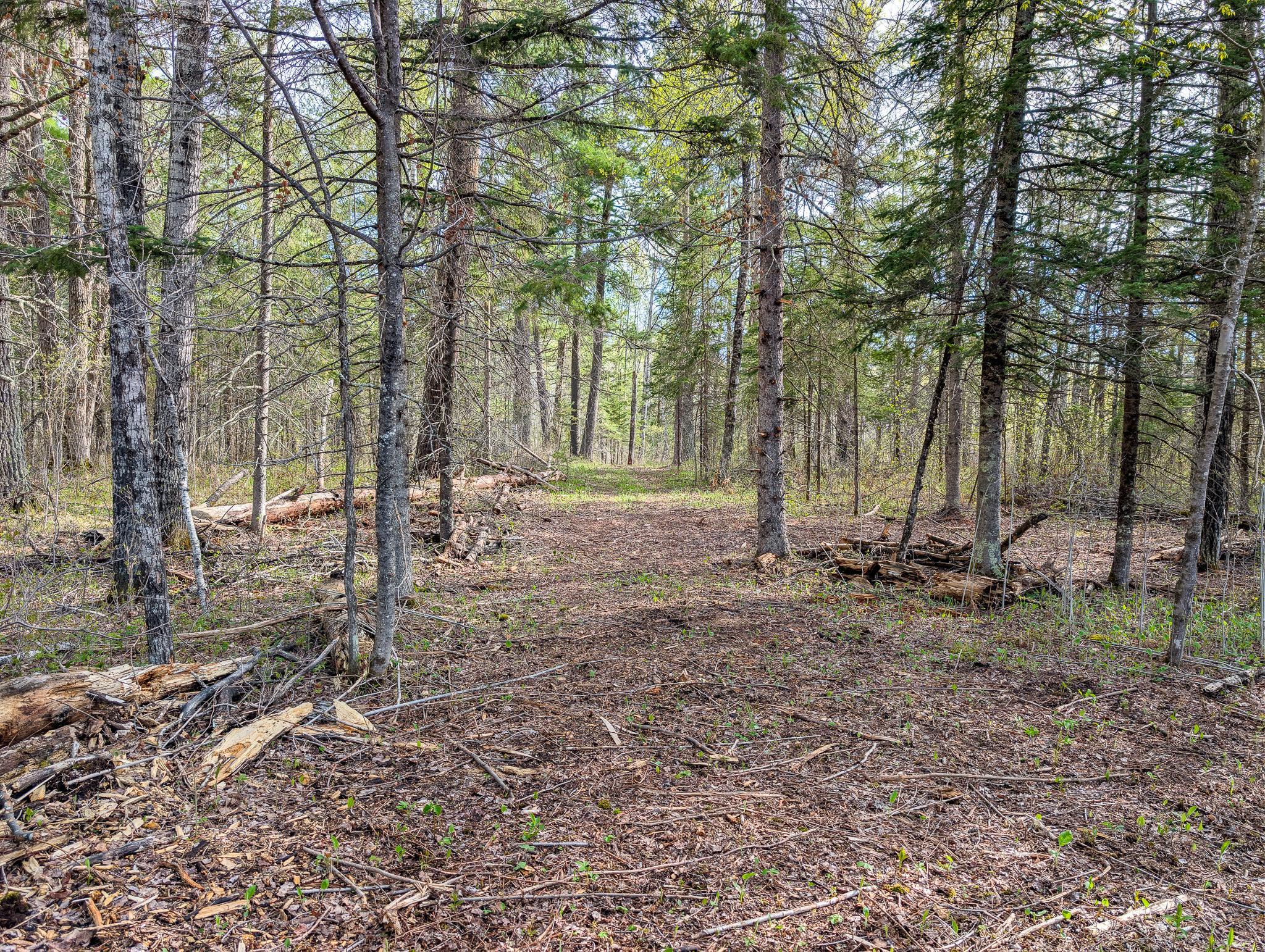992 Nemadji River Road Property Photo 10
