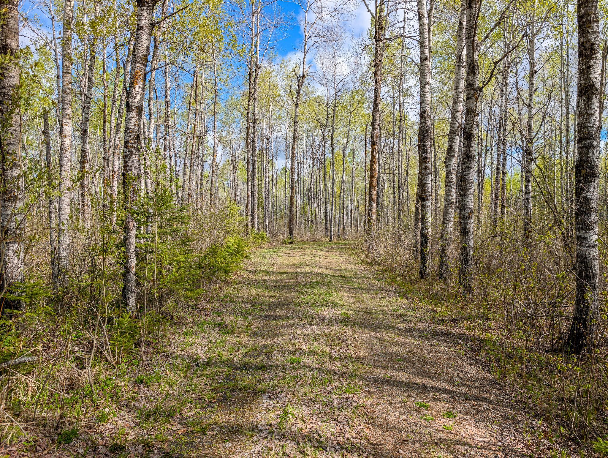 992 Nemadji River Road Property Photo 26