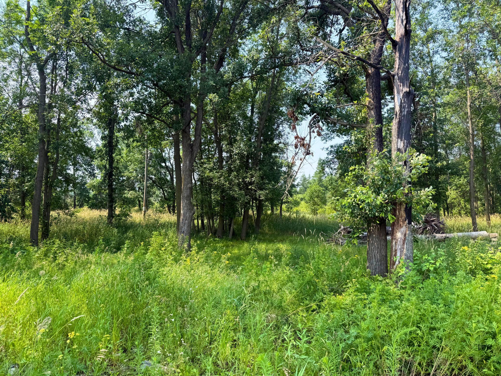 7241 Us Highway 169 Property Photo 3