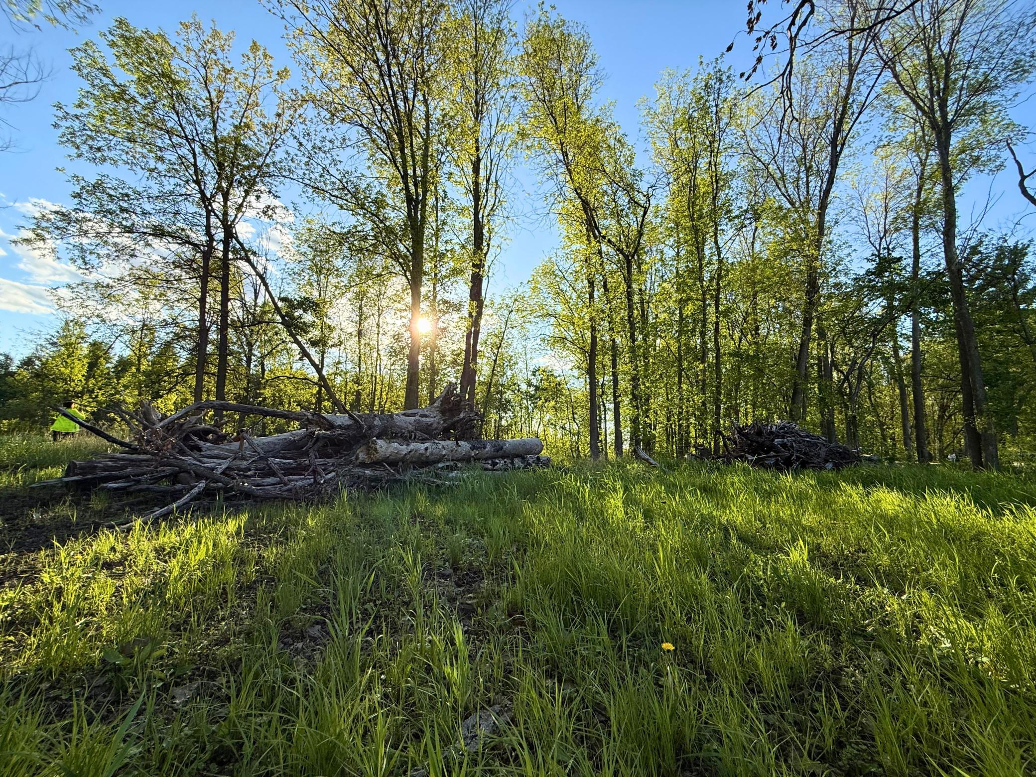 7241 Us Highway 169 Property Photo 5