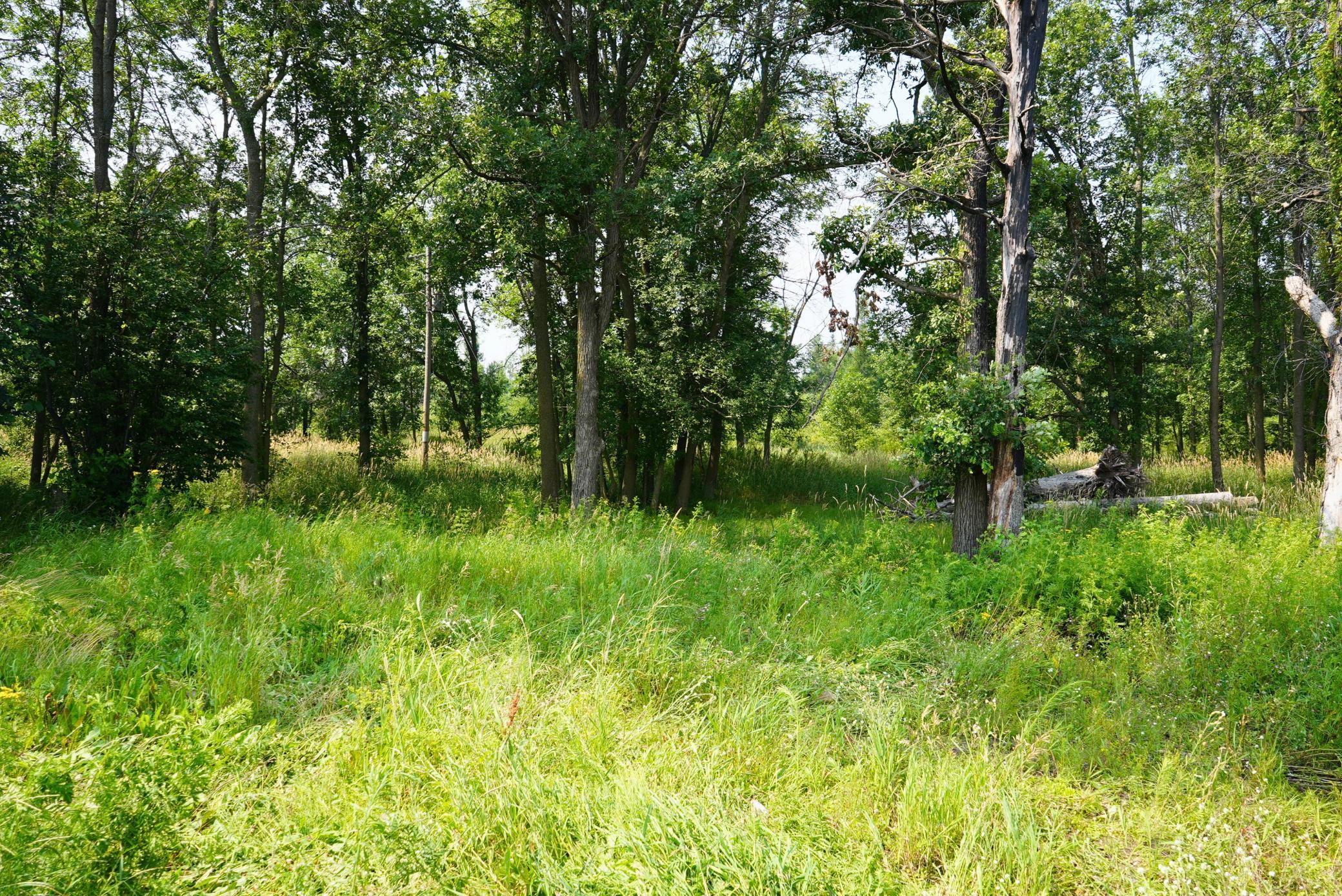7241 Us Highway 169 Property Photo 12