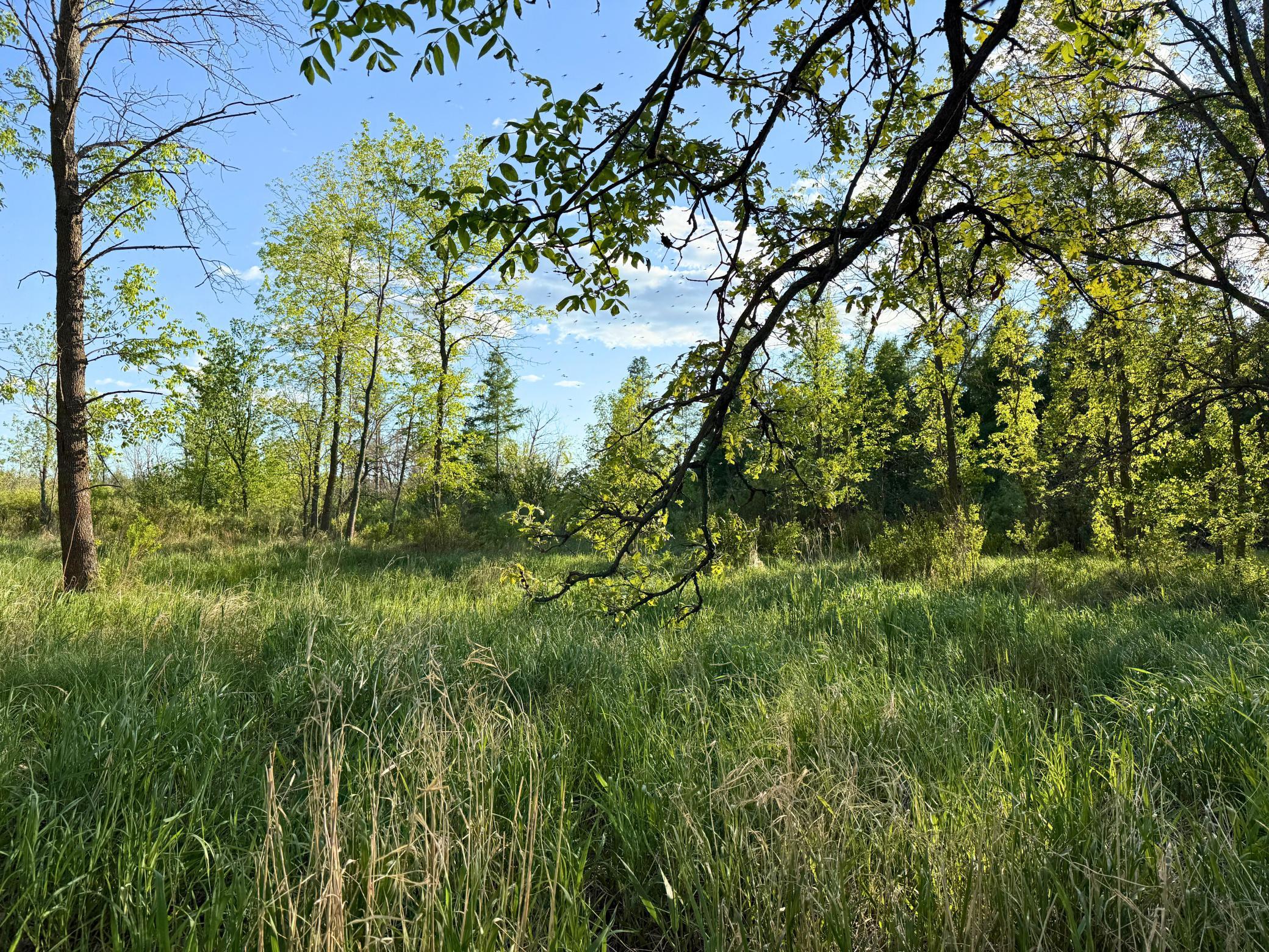 7241 Us Highway 169 Property Photo 15