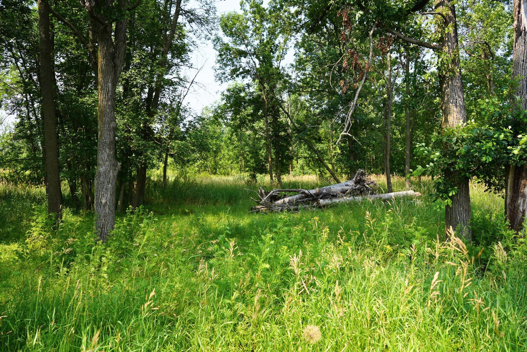 7241 Us Highway 169 Property Photo 16