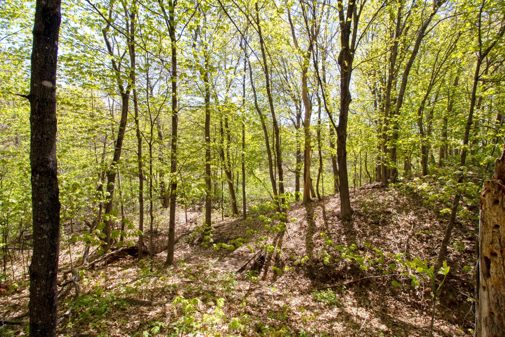 33175 N Lakes Trail Property Photo 16