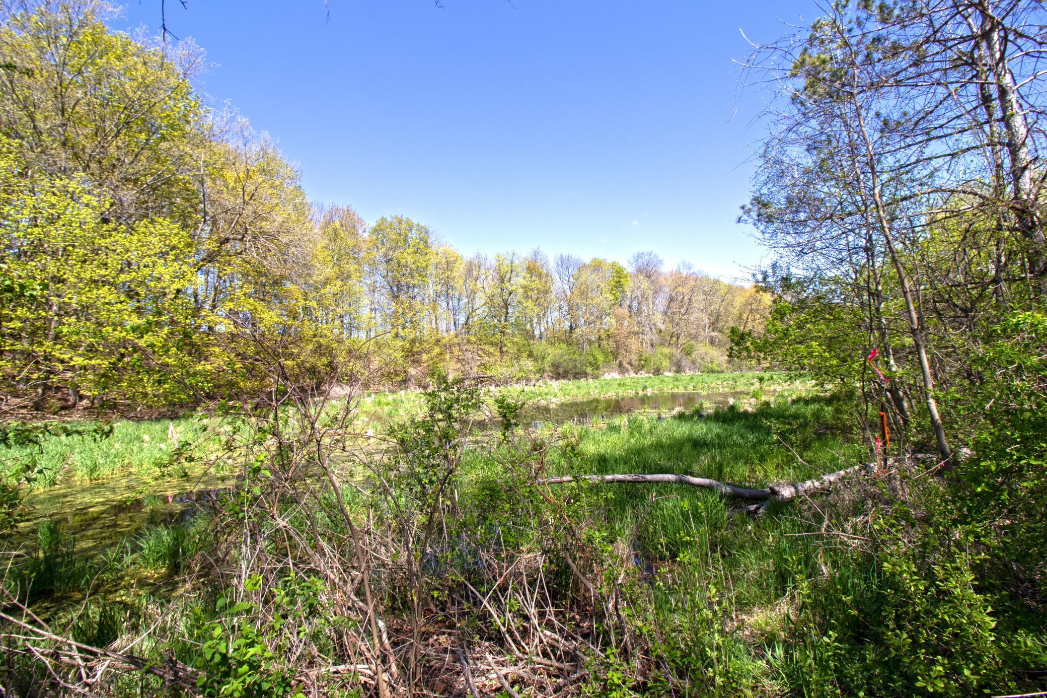 33175 N Lakes Trail Property Photo 17