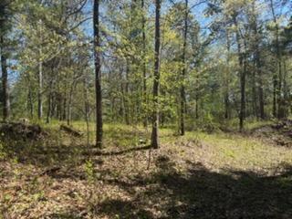 8293 Interlachen Road Property Photo 2