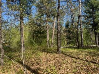 8293 Interlachen Road Property Photo 3