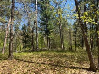8293 Interlachen Road Property Photo 4
