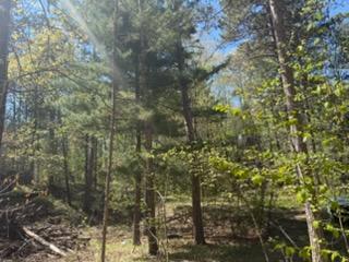 8293 Interlachen Road Property Photo 10