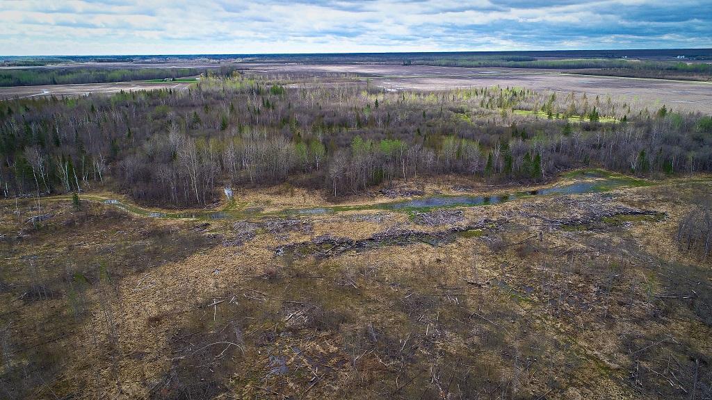 Tbd State Hwy 172 Cliff Property Photo 16