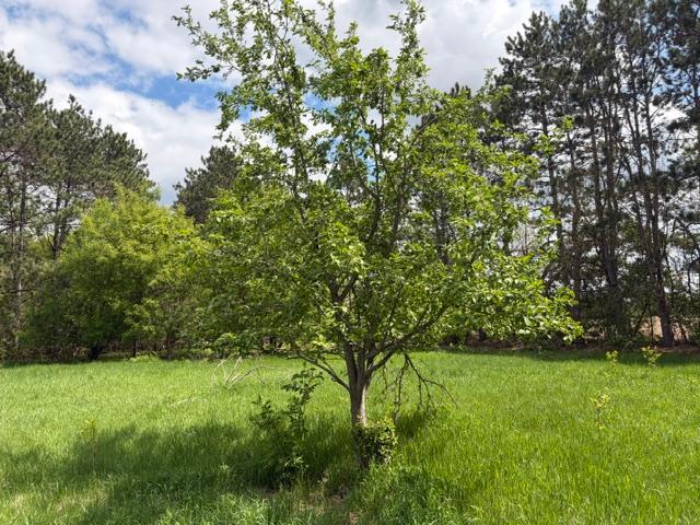 2059 Highway 70 Property Photo 10