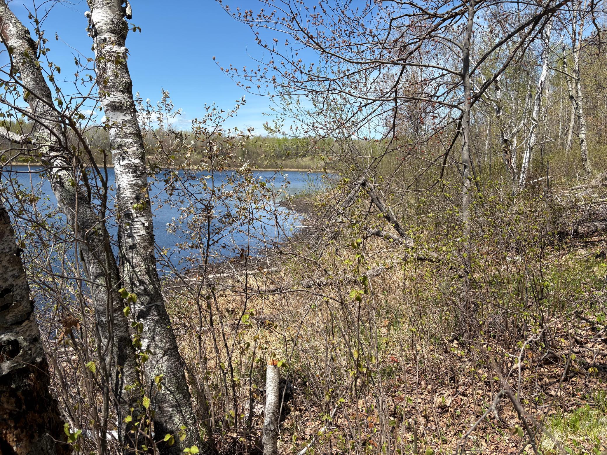 854x W Chub Lake Rd Property Photo 2