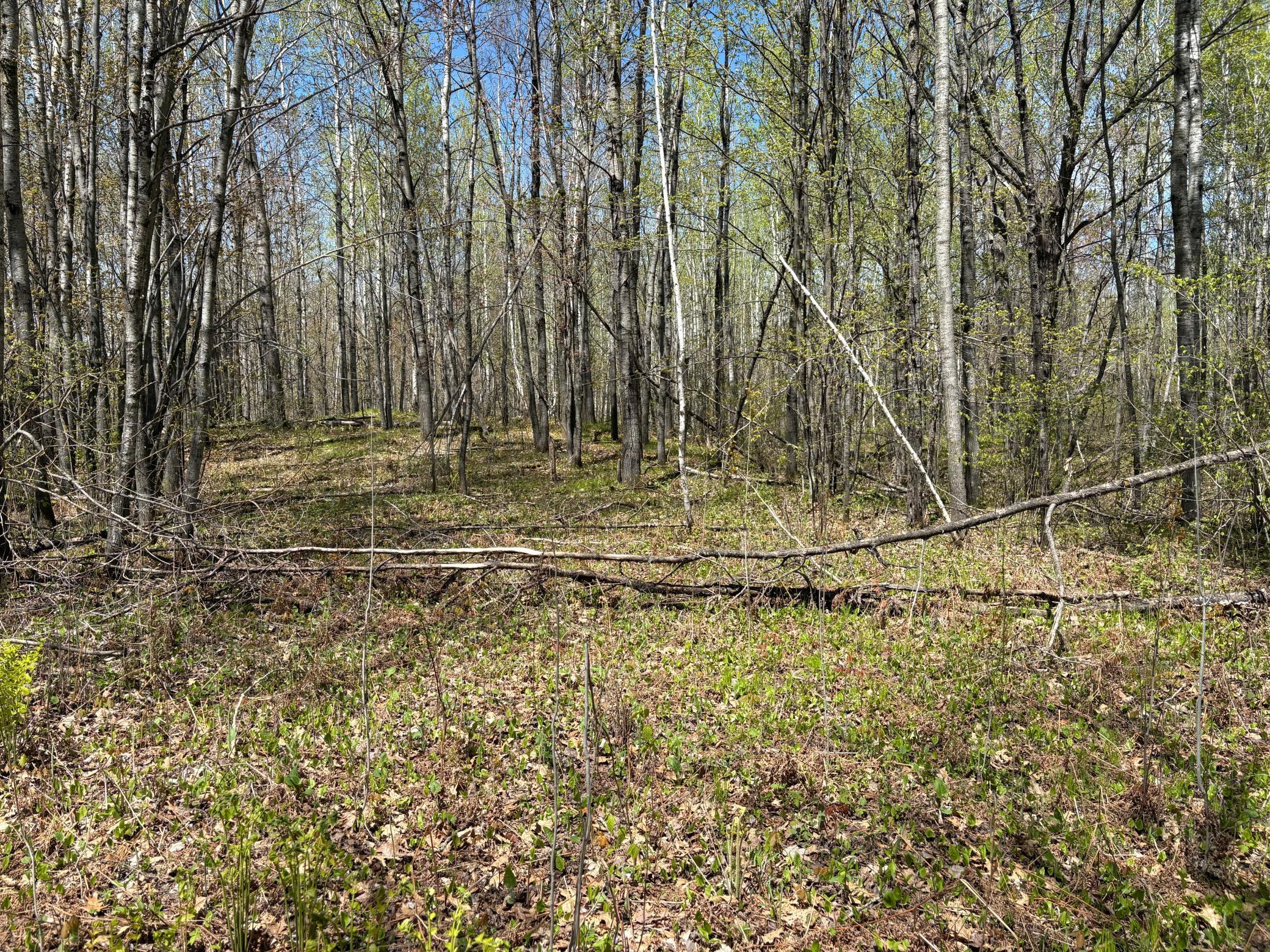 854x W Chub Lake Rd Property Photo 3