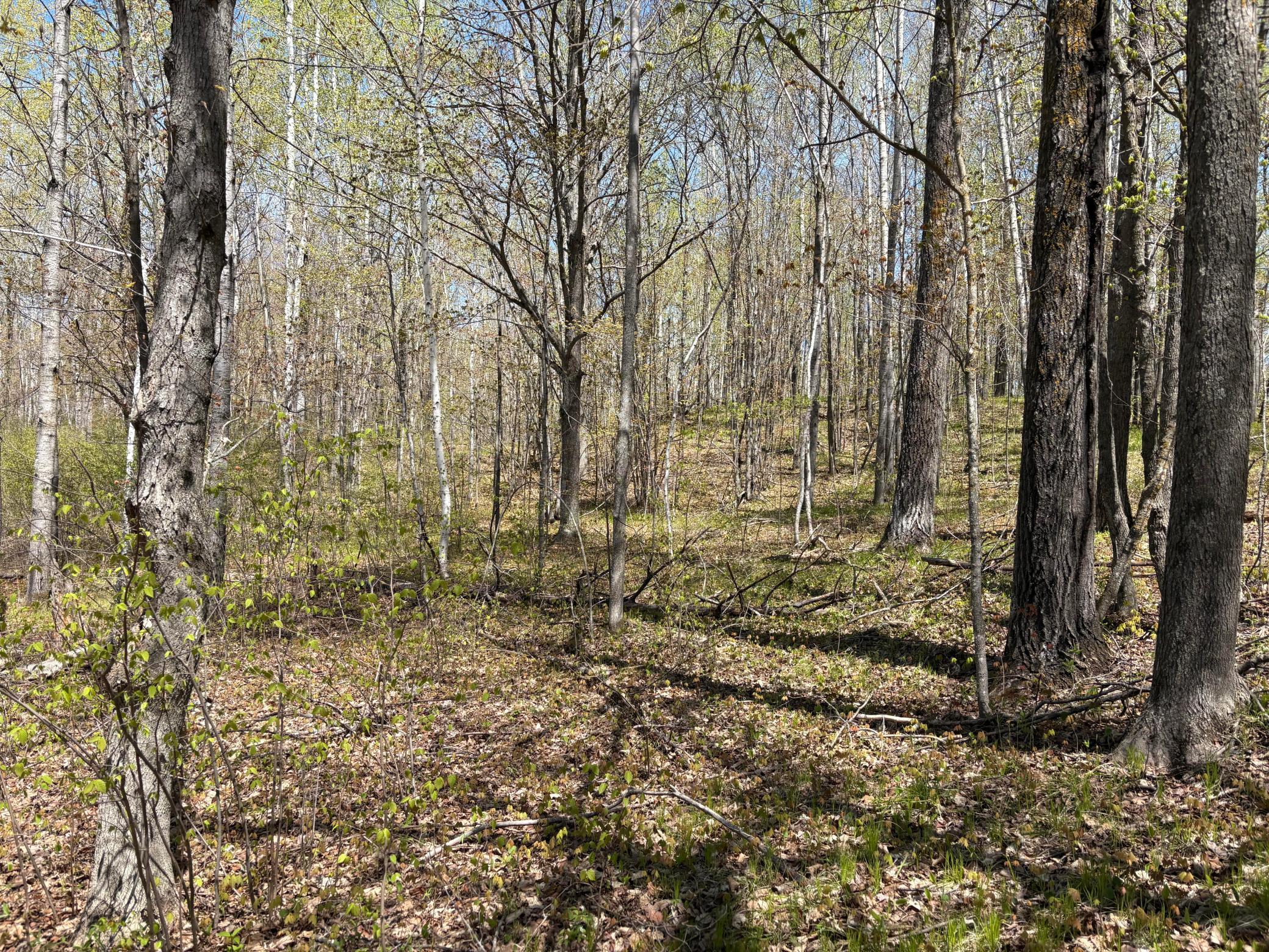 854x W Chub Lake Rd Property Photo 4
