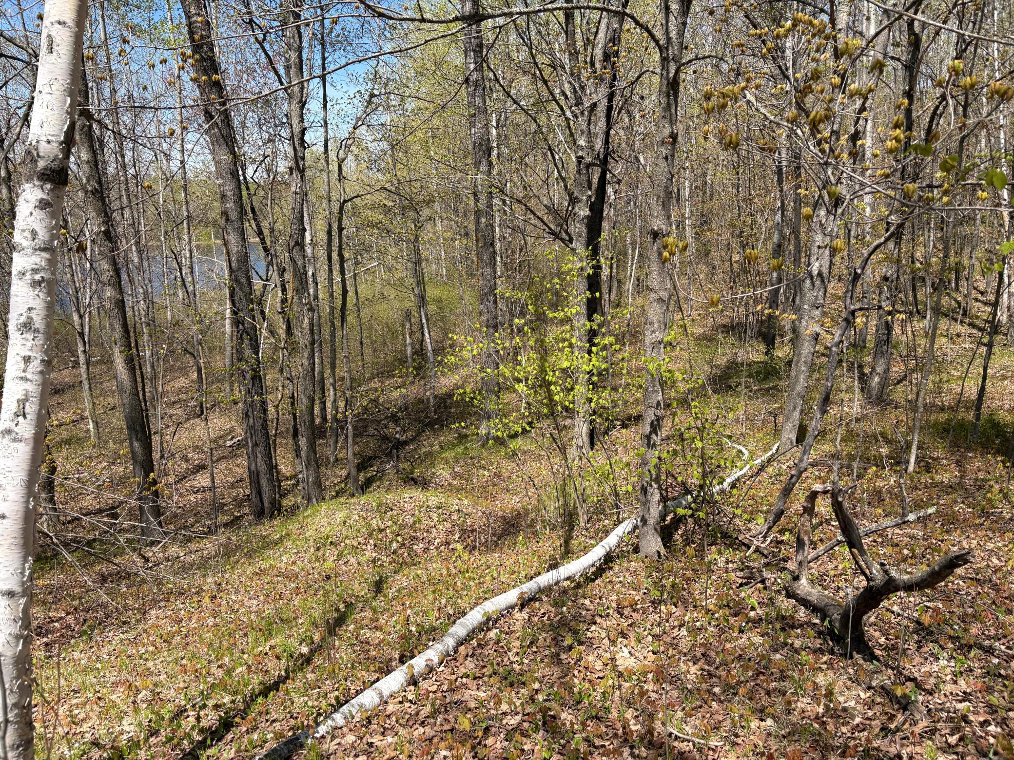 854x W Chub Lake Rd Property Photo 5