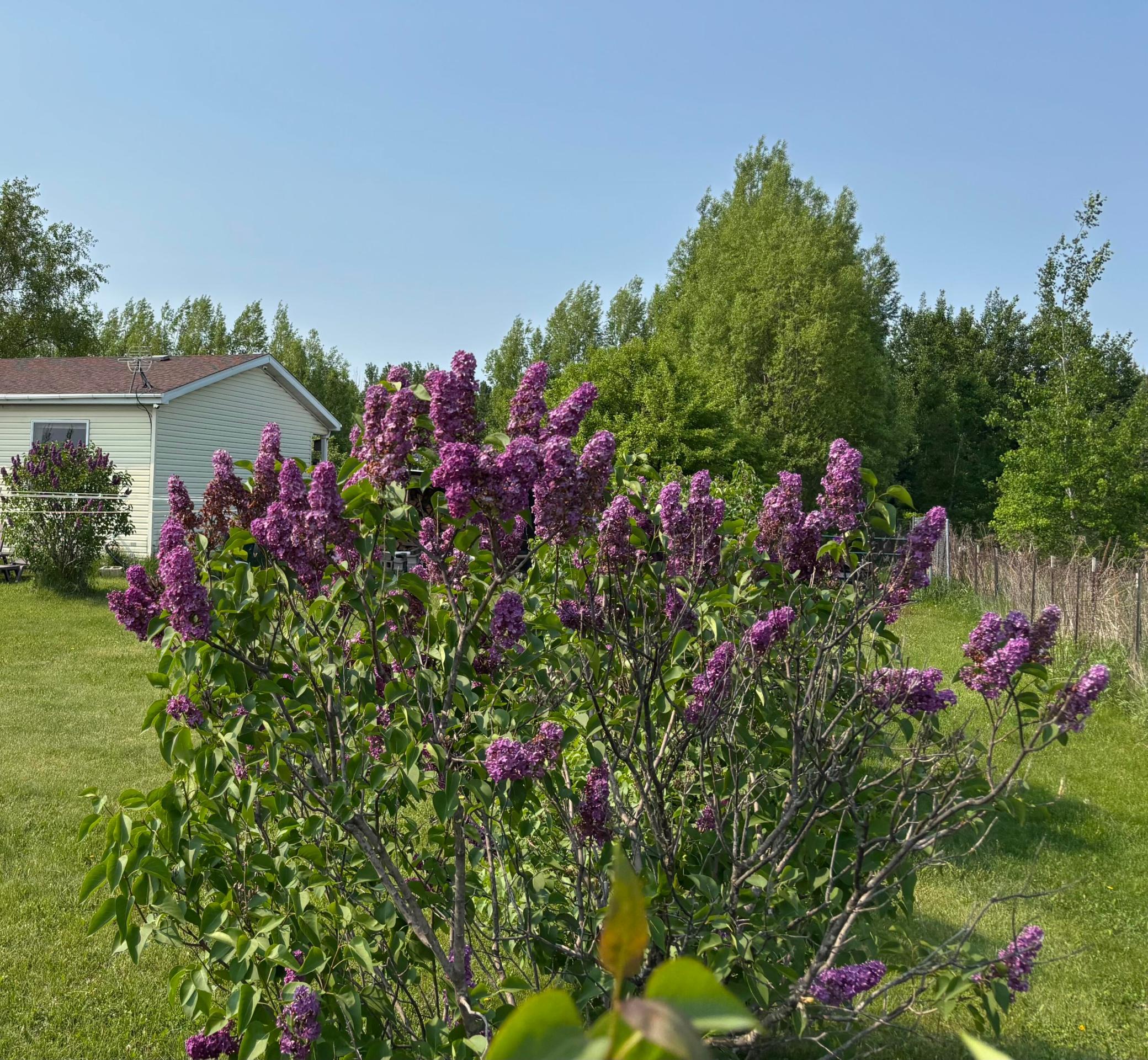 14351 110th Street Property Photo 29