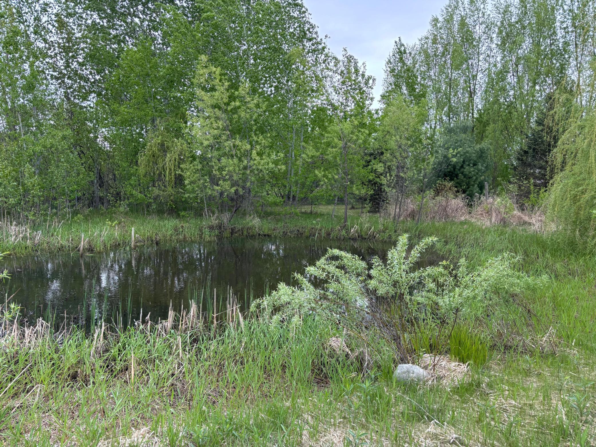 14351 110th Street Property Photo 31