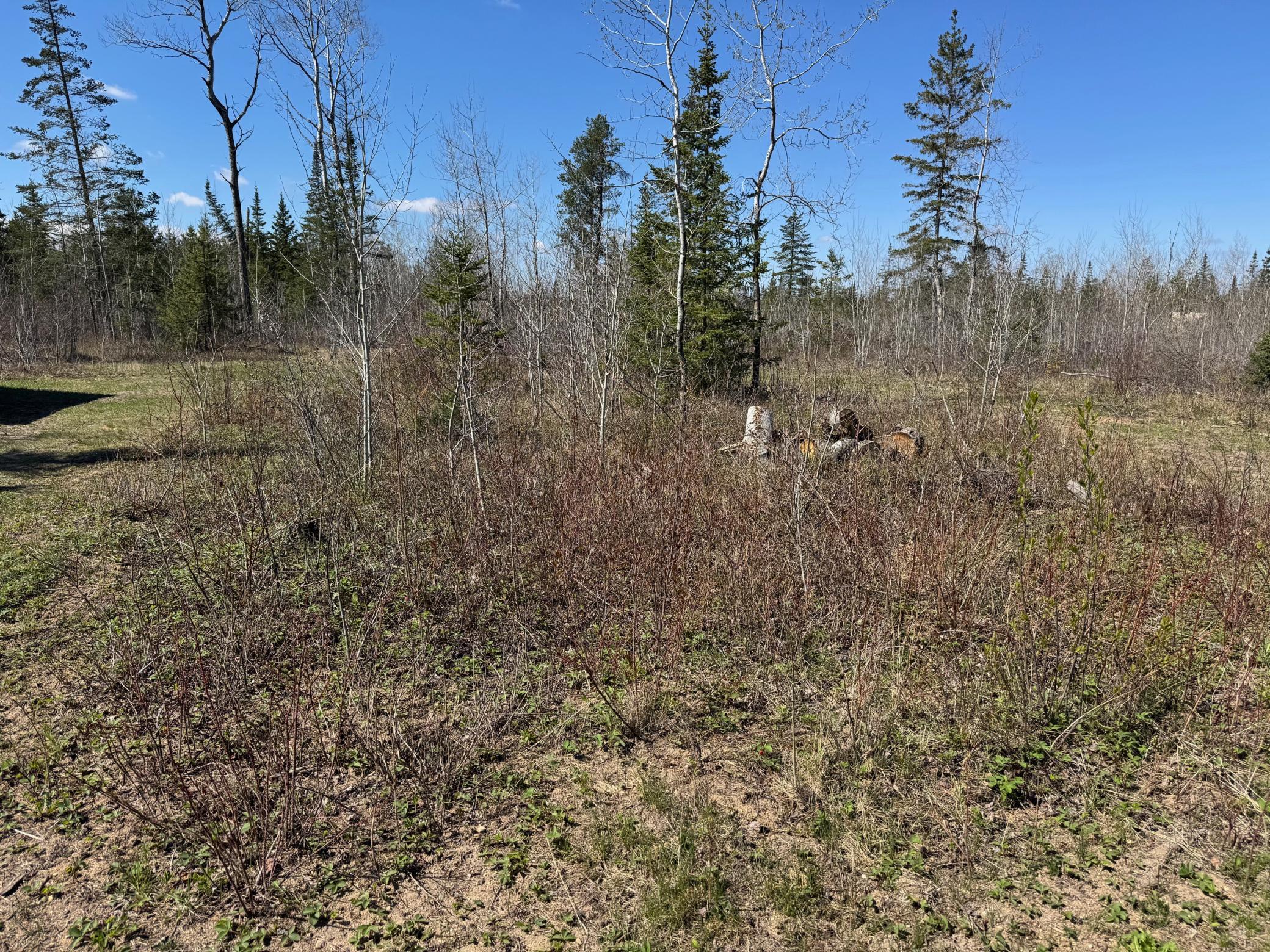 Tbd Thompson Forest Road Property Photo 10