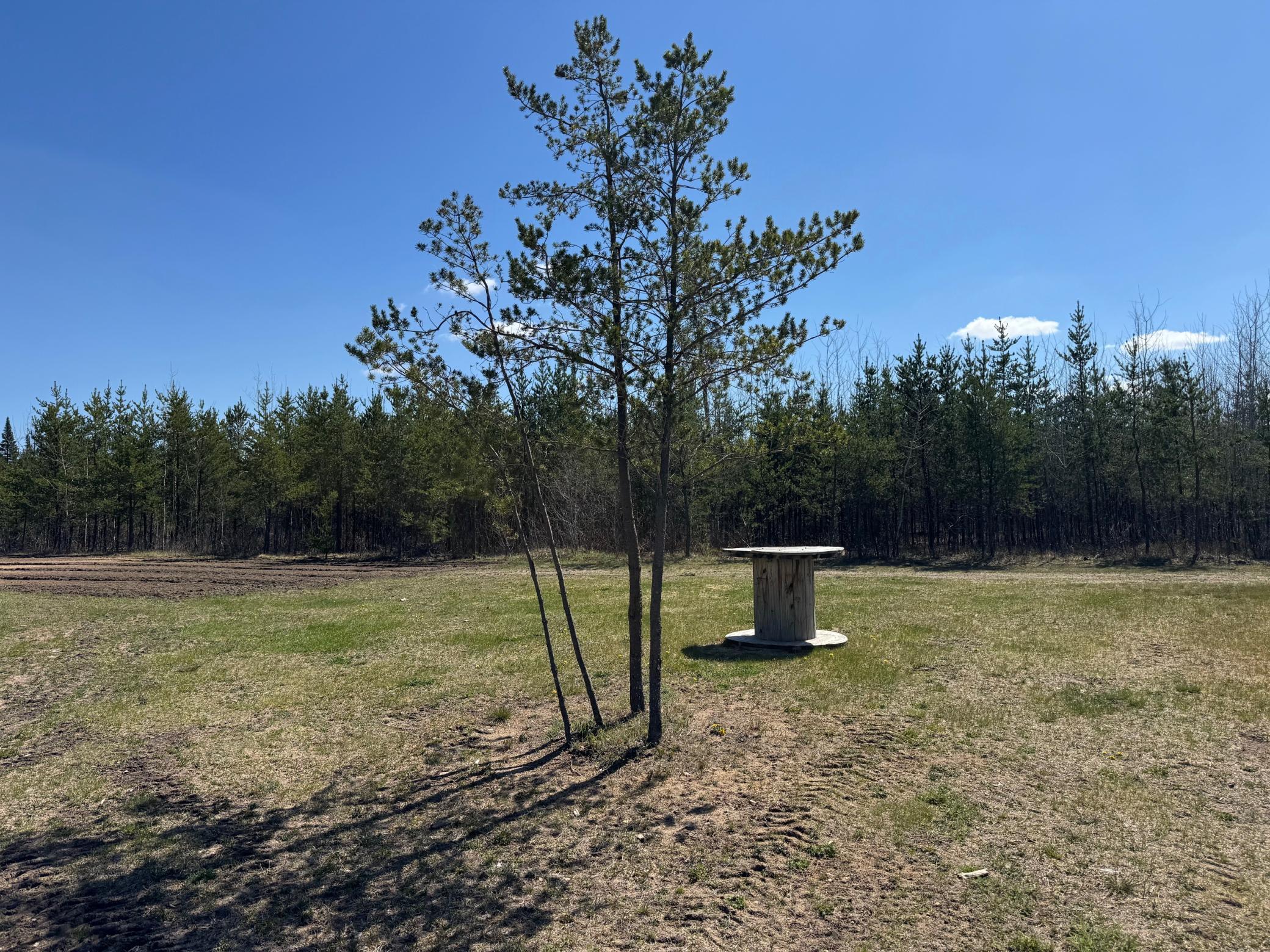 Tbd Thompson Forest Road Property Photo 11