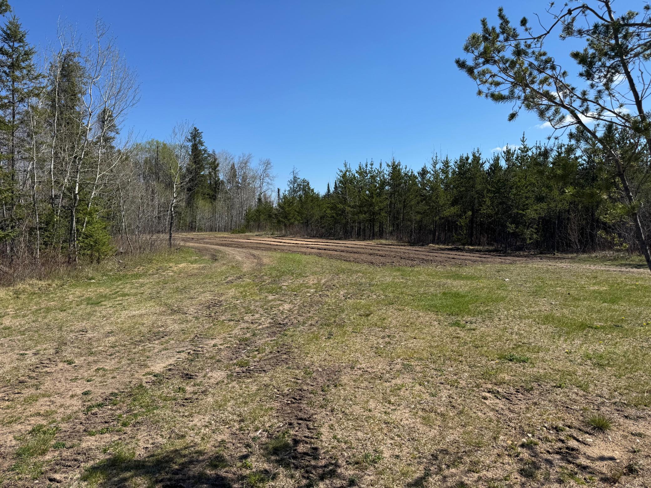 Tbd Thompson Forest Road Property Photo 12