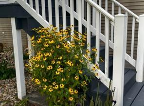 39878 Bald Eagle Haven Road Property Photo 65