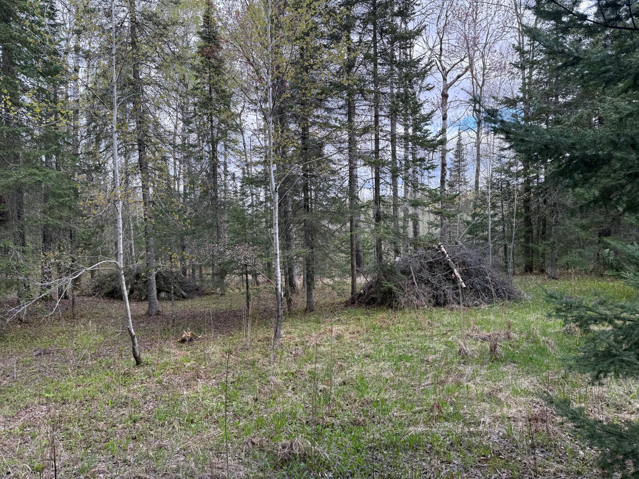 7355 Melrude Rd. W Property Photo 28