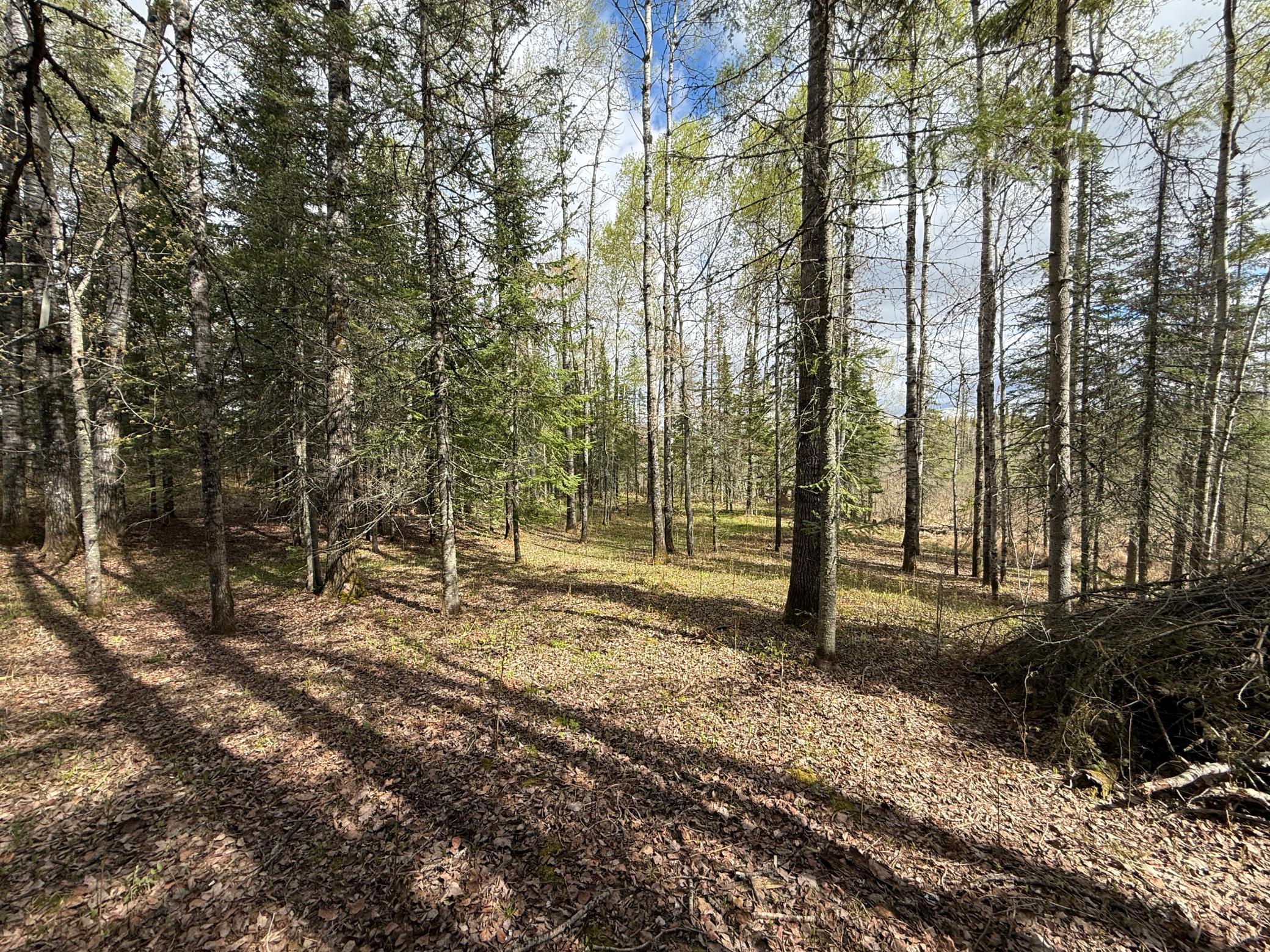 7355 Melrude Rd. W Property Photo 32
