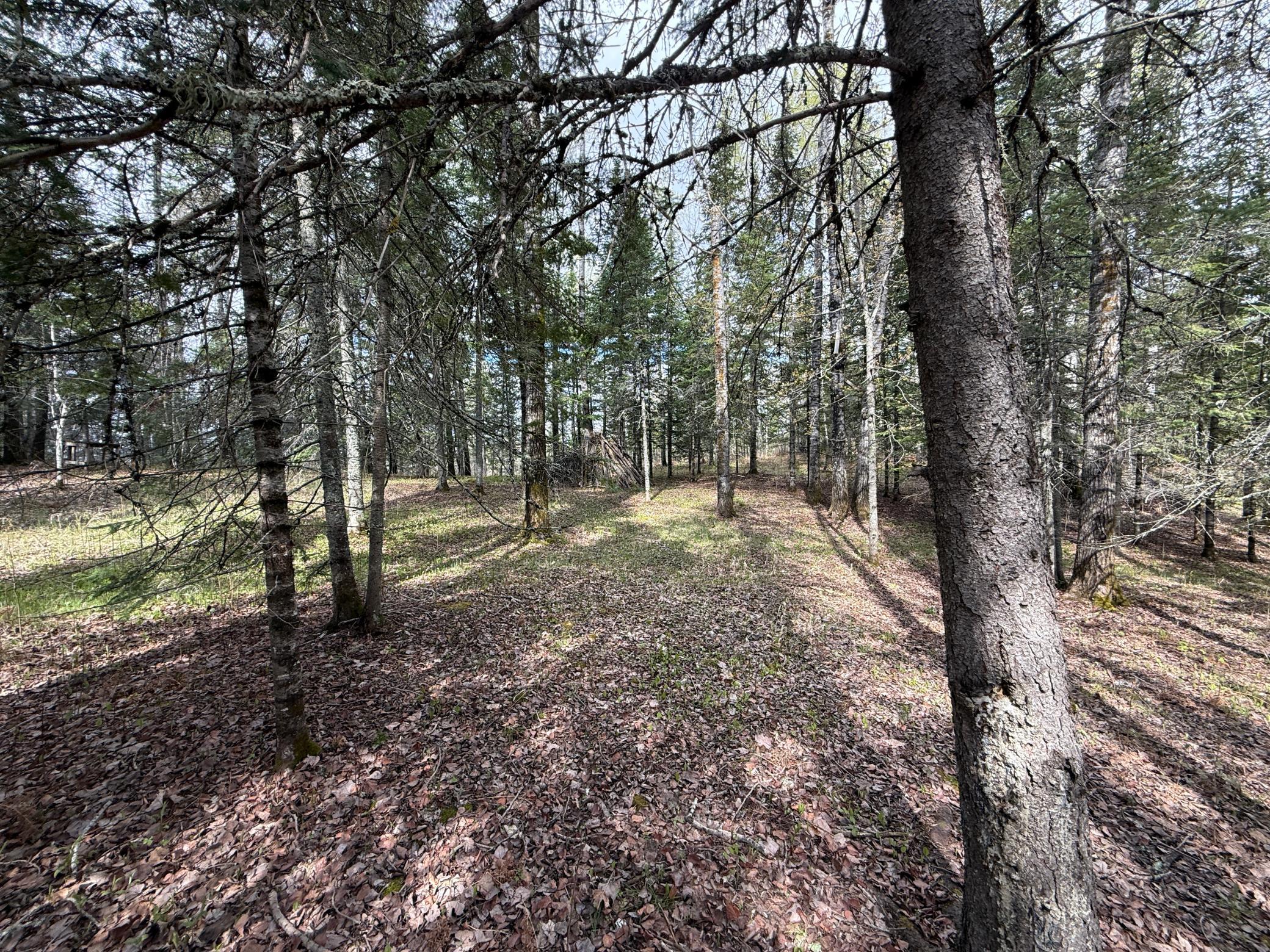 7355 Melrude Rd. W Property Photo 33