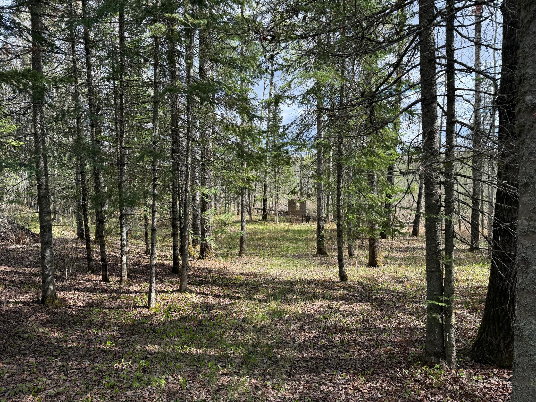 7355 Melrude Rd. W Property Photo 34