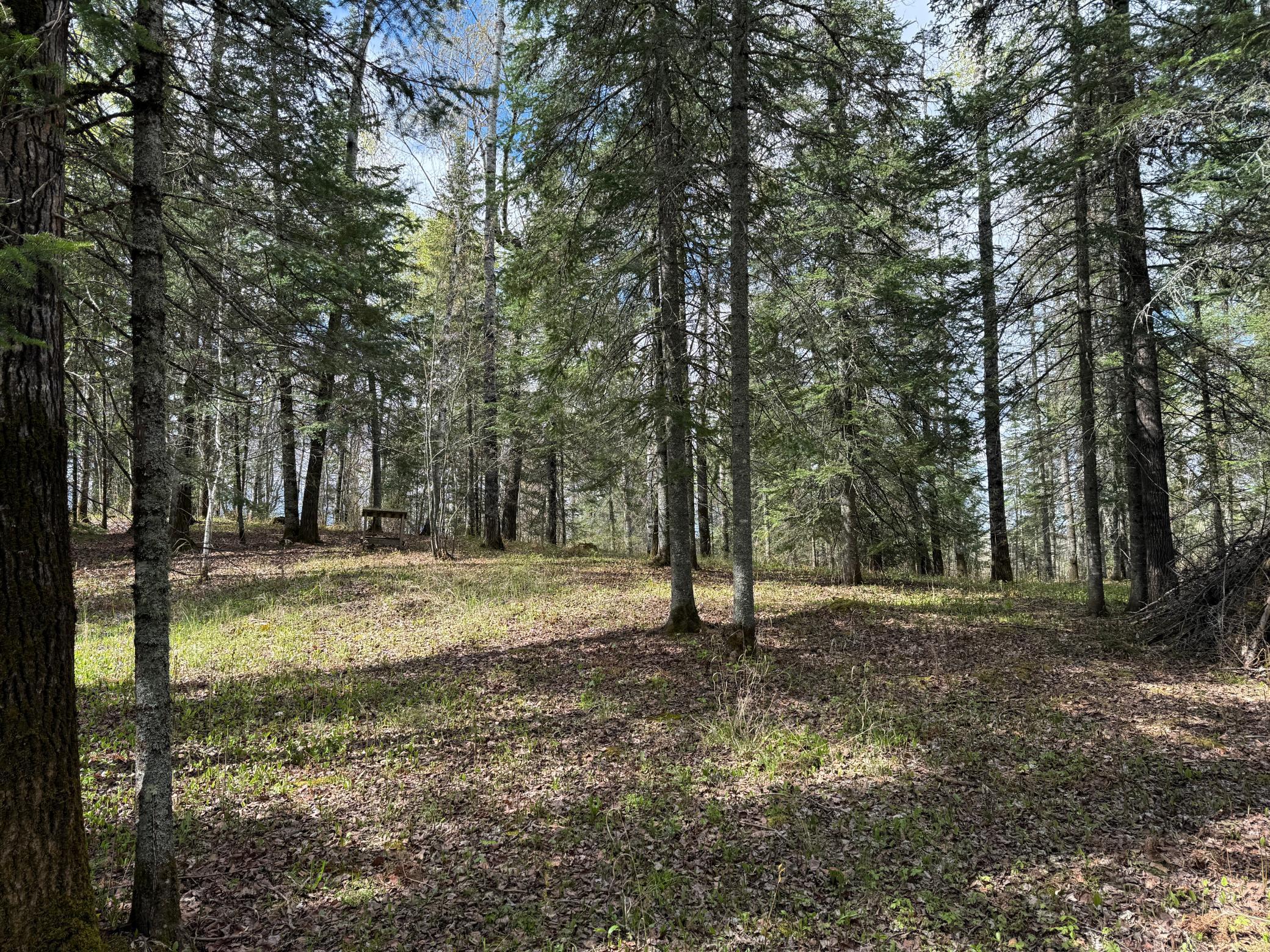 7355 Melrude Rd. W Property Photo 36