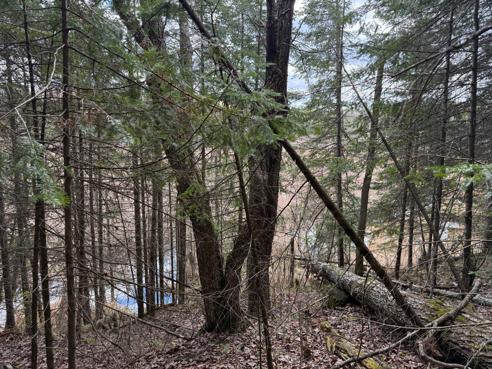 7355 Melrude Rd. W Property Photo 48
