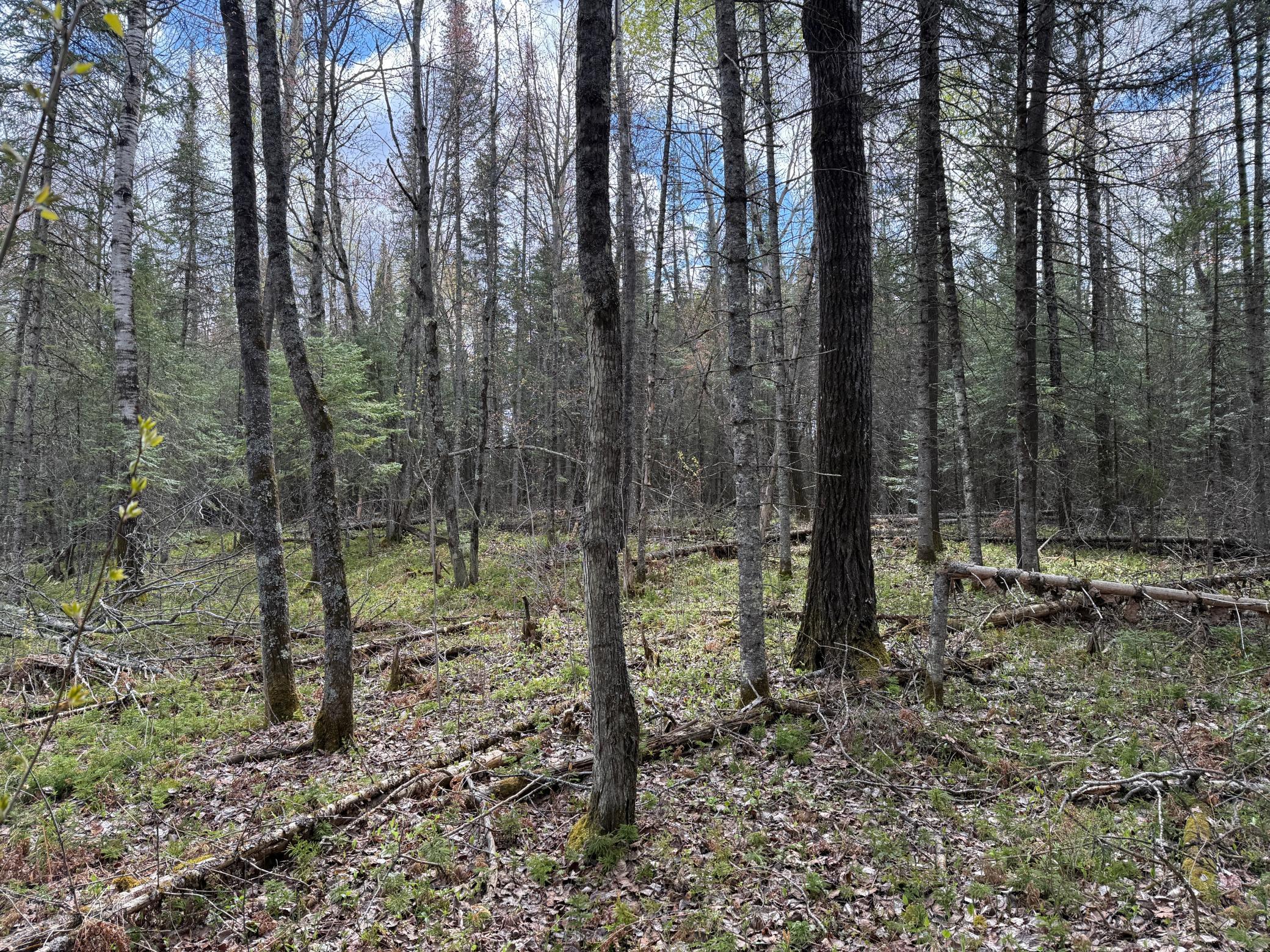 7355 Melrude Rd. W Property Photo 57