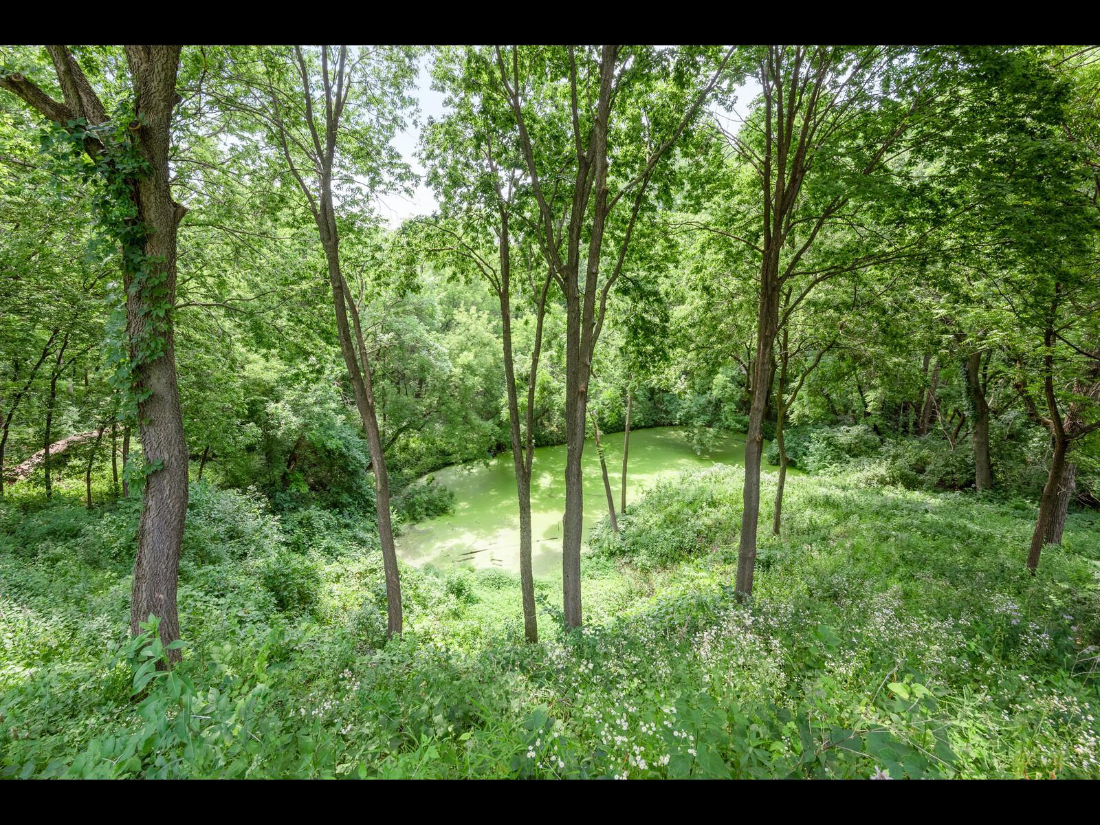 7180 Kenmare Drive Property Photo 93