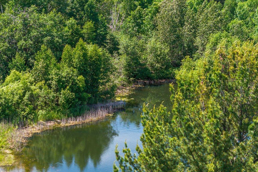 21592 State Highway 47 Property Photo 66