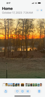 11777 State Highway 11 Se Property Photo 36